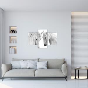 Tabou - Cai albi (90x60 cm)