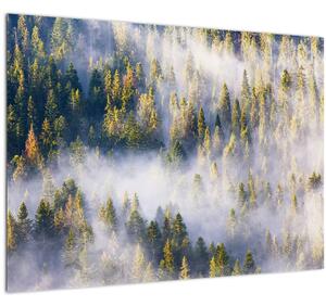 Tablou - Copac în ceață (70x50 cm)