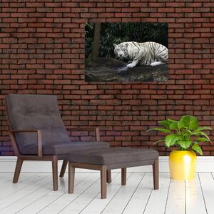 Tablou pe sticlă - Tigru alb (70x50 cm)