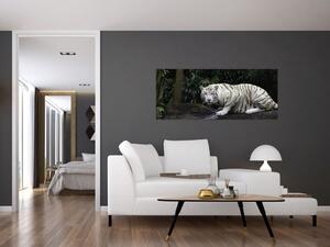 Tablou - Tigru alb (120x50 cm)