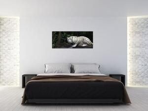 Tablou - Tigru alb (120x50 cm)