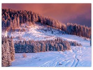 Tablou - Peisaj de iarnă (70x50 cm)