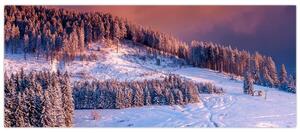 Tablou - Peisaj de iarnă (120x50 cm)