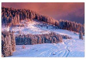 Tablou - Peisaj de iarnă (90x60 cm)