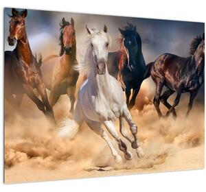 Tablou - Caii în deșert (70x50 cm)