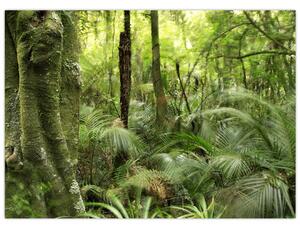Tablou - Pădure tropicală (70x50 cm)