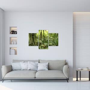 Tablou - Pădure tropicală (90x60 cm)