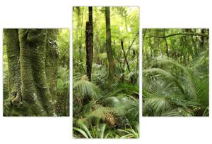 Tablou - Pădure tropicală (90x60 cm)