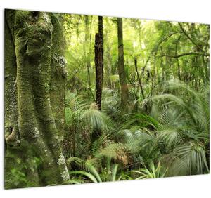 Tablou pe sticlă - Pădure tropicală (70x50 cm)