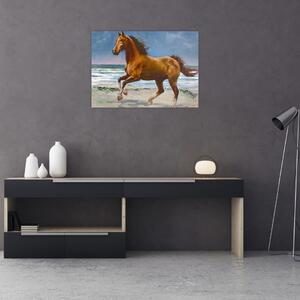 Tablou - Caii pe plajă (70x50 cm)