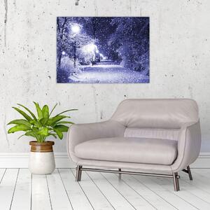 Tablou - Noaptea magică de iarnă (70x50 cm)