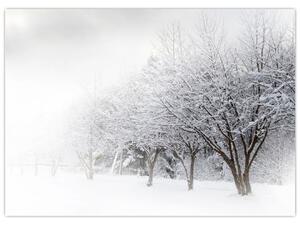 Tablou - Aleea de iarnă (70x50 cm)