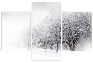 Tablou - Aleea de iarnă (90x60 cm)