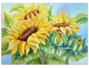 Tablou - Floarea soarelui înflorită (70x50 cm)
