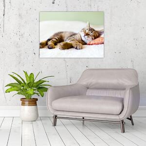 Tablou - Pisicuța adormită (70x50 cm)