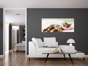Tablou - Pisicuța adormită (120x50 cm)