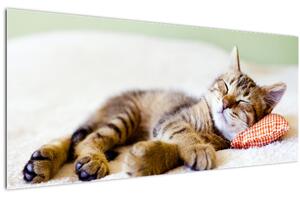 Tablou - Pisicuța adormită (120x50 cm)