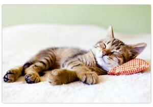 Tablou - Pisicuța adormită (90x60 cm)