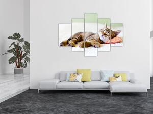 Tablou - Pisicuța adormită (150x105 cm)
