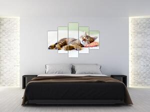 Tablou - Pisicuța adormită (150x105 cm)