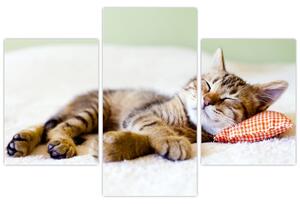 Tablou - Pisicuța adormită (90x60 cm)