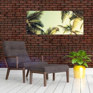 Tablou - Palmieri de cocos (120x50 cm)