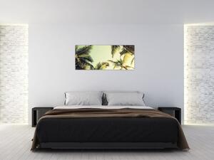 Tablou - Palmieri de cocos (120x50 cm)