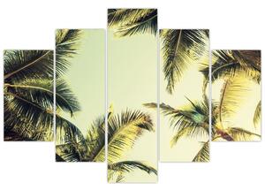 Tablou - Palmieri de cocos (150x105 cm)