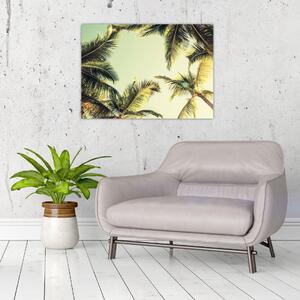 Tablou - Palmieri de cocos (70x50 cm)