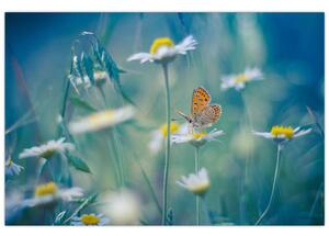 Tablou - Fluture pe margaretă (90x60 cm)