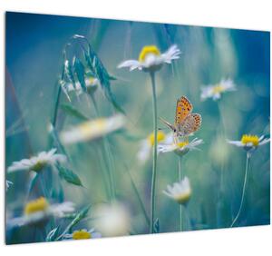 Tablou pe sticlă - Fluture pe margaretă (70x50 cm)