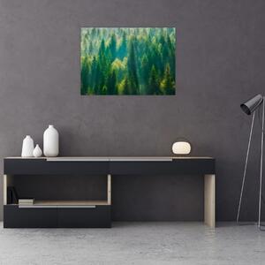 Tablou - Pădurea de brazi (70x50 cm)