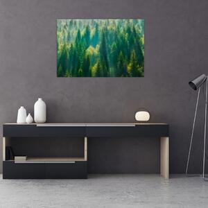 Tablou - Pădurea de brazi (90x60 cm)