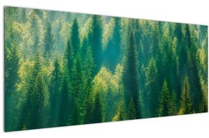 Tablou - Pădurea de brazi (120x50 cm)
