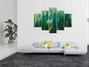Tablou - Pădurea de brazi (150x105 cm)