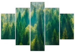 Tablou - Pădurea de brazi (150x105 cm)