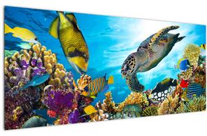Tablou - Recif de corali (120x50 cm)