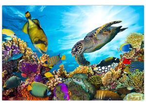 Tablou - Recif de corali (90x60 cm)
