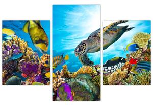 Tablou - Recif de corali (90x60 cm)