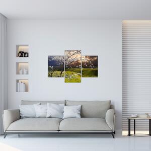 Tablou - Peisaj cu pomul înflorit (90x60 cm)