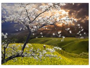 Tablou - Peisaj cu pomul înflorit (70x50 cm)