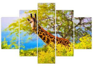 Tablou - Girafa în Africa (150x105 cm)