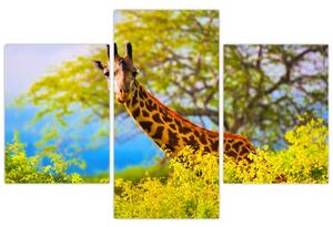 Tablou - Girafa în Africa (90x60 cm)