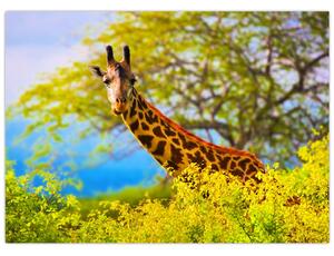Tablou - Girafa în Africa (70x50 cm)