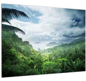 Tablou pe sticlă -Jungla din Seychelles (70x50 cm)