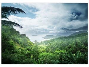 Tablou -Jungla din Seychelles (70x50 cm)