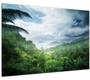 Tablou -Jungla din Seychelles (90x60 cm)