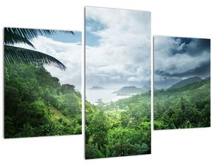 Tablou -Jungla din Seychelles (90x60 cm)
