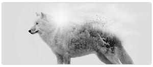 Tablou - Lupul arctic oglindit în peisajul sălbatic, alb-negru (120x50 cm)