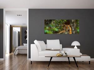 Tablou - Tigru odihnindu -se (120x50 cm)